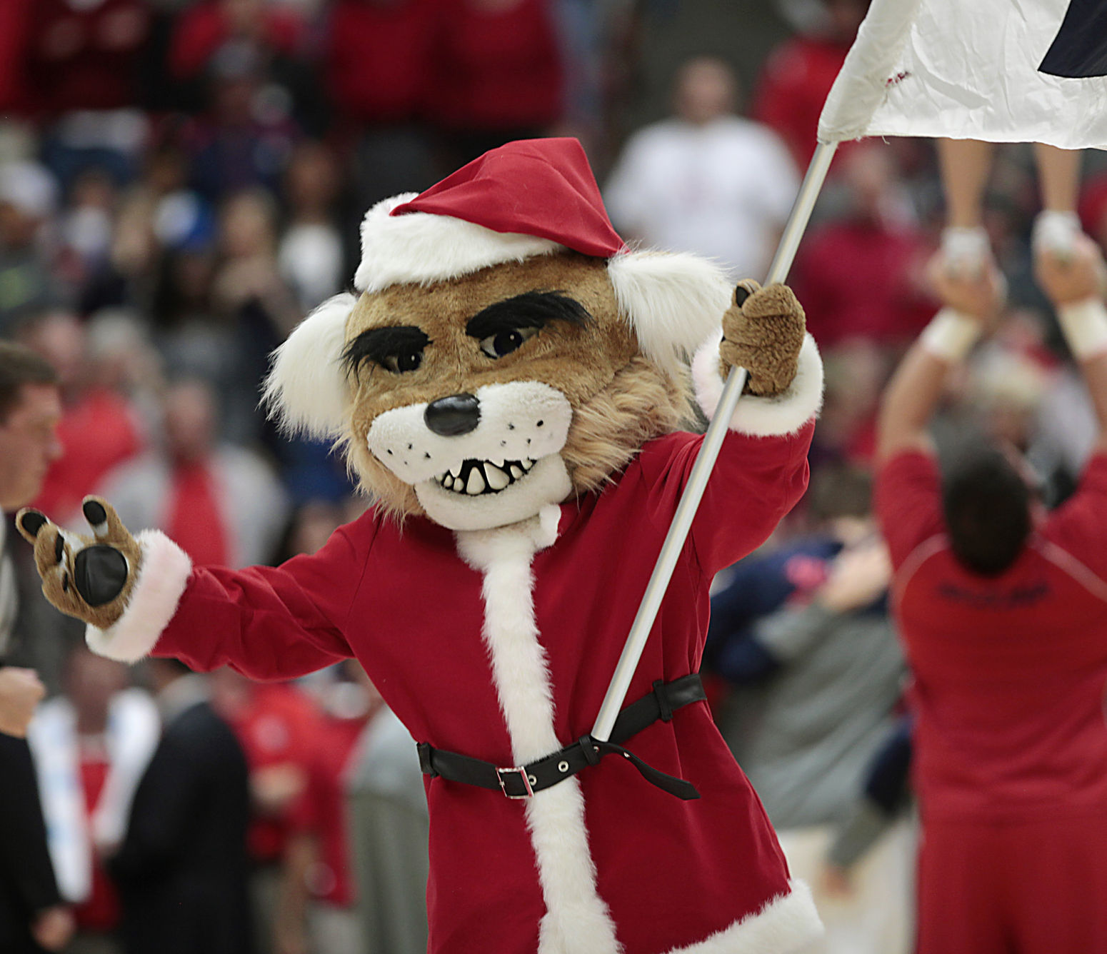 Wilbur and Wilma Wildcat through the years